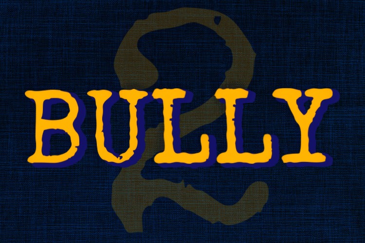 Does a Bully Free Zone School Really Mean Bully Free?
