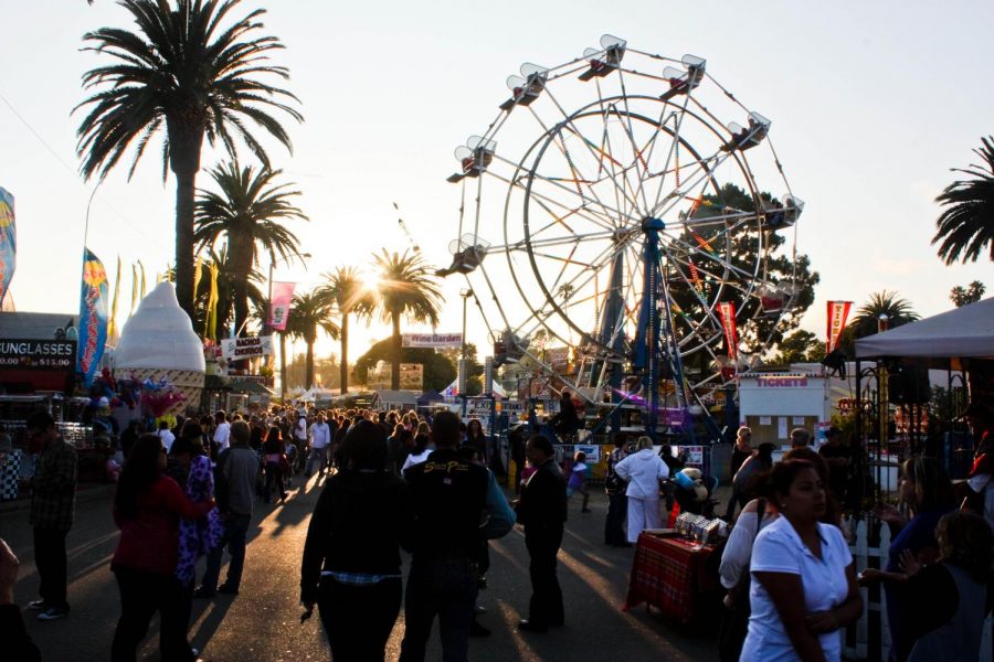 My Experience at the LA Fair