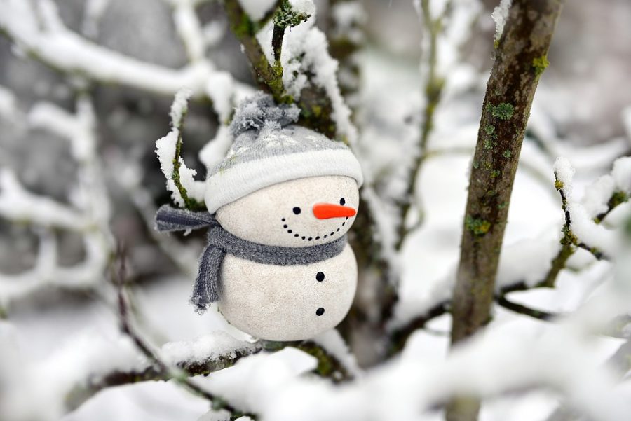 Snowman+Funny+Snow+Winter+Snowy+Wintry+Aesthetic