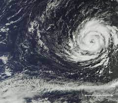 Hurricane Idalia is Coming to Town