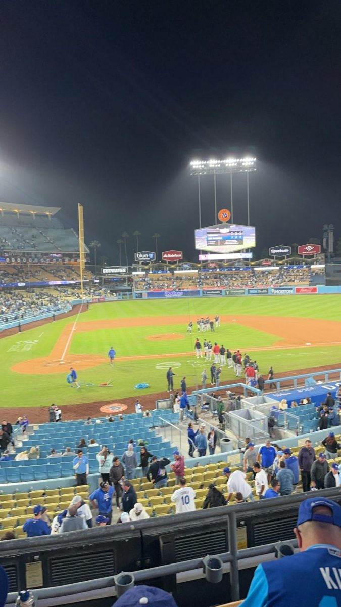 My Dodger Game Experience