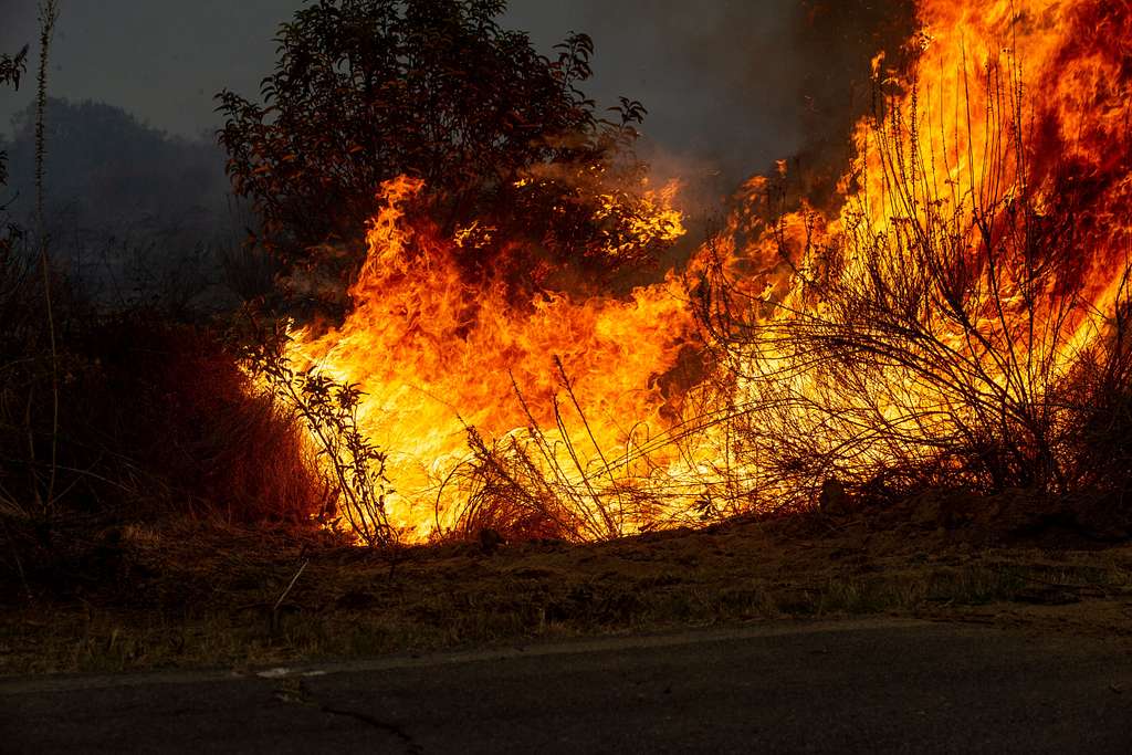 Effects of the Airport Fire