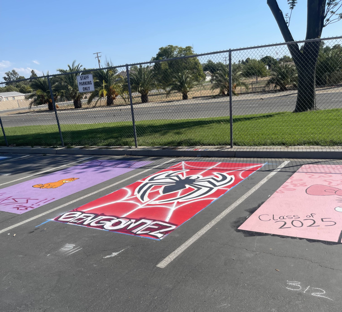 Senior Parking Painting