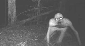 American Indian Heritage Month- Skin Walker