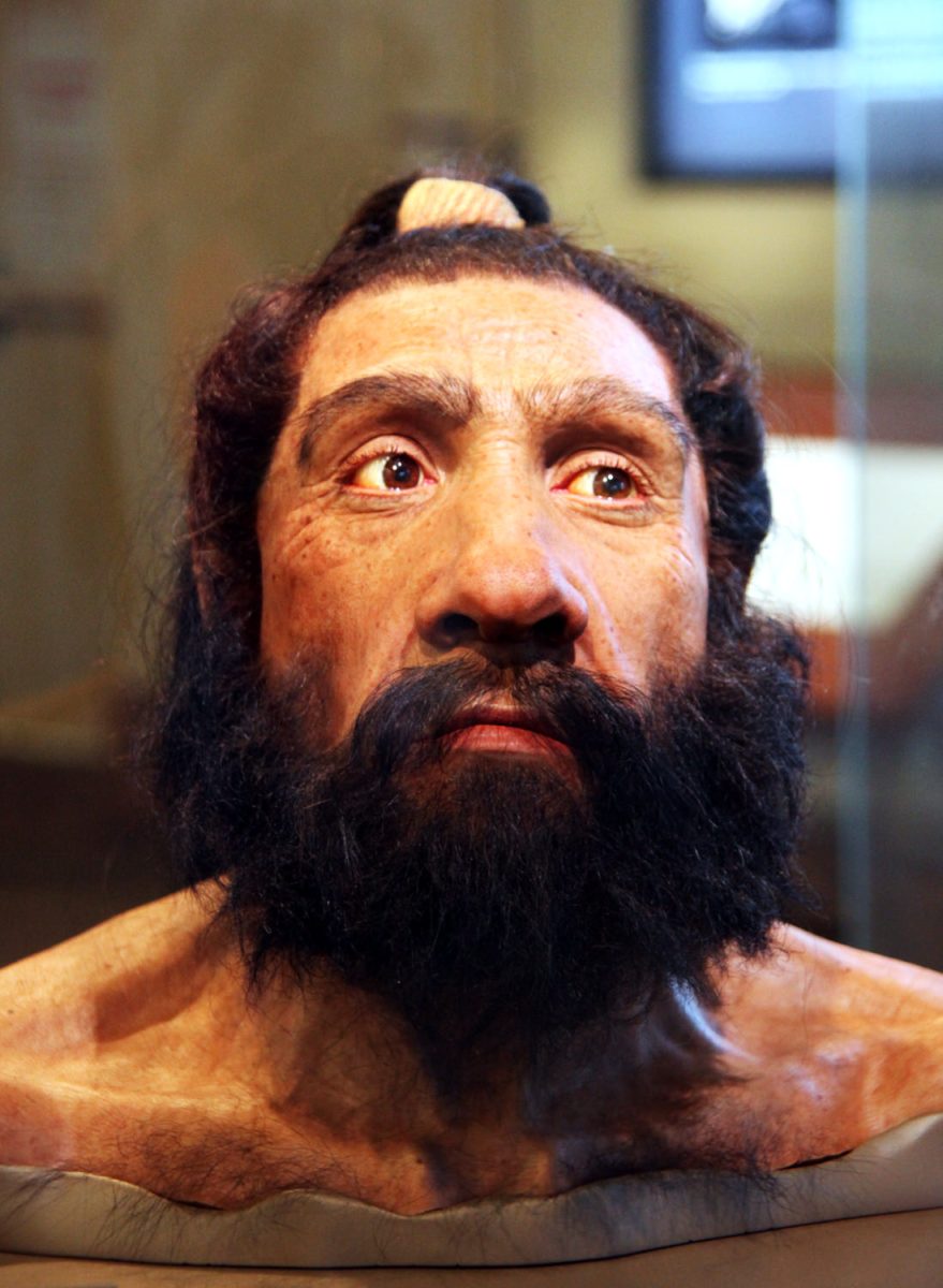 How Neanderthals Intermixed with Homosapiens