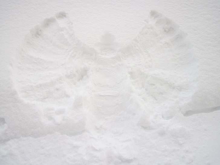 Snow Angels