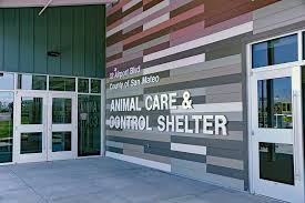 Animal Shelter