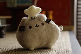 Pusheen the Cat!