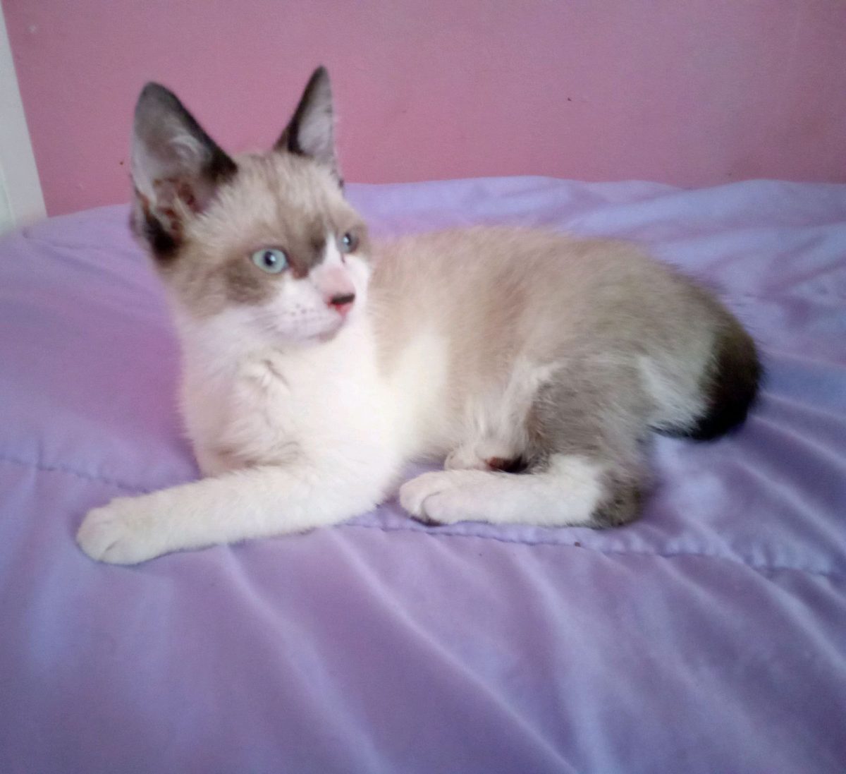 Annelieze Barragan